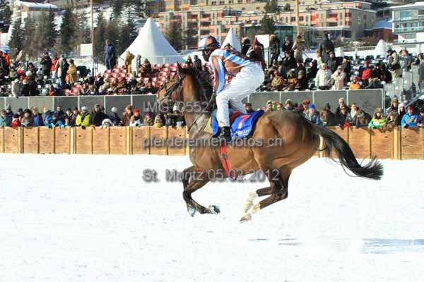 IMG 0552 prot