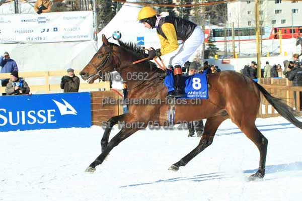 IMG 0562 prot