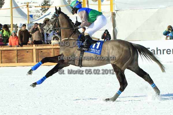 IMG 0574 prot
