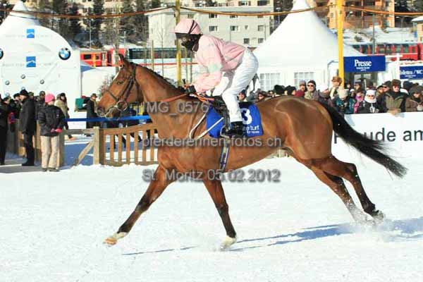 IMG 0576 prot