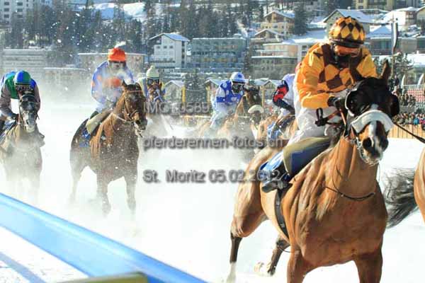 IMG 0589 prot