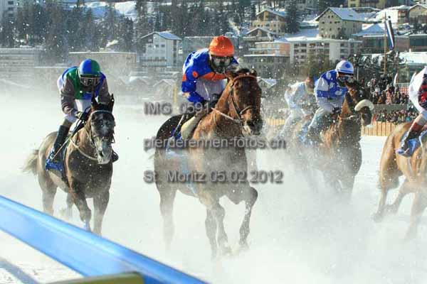 IMG 0591 prot