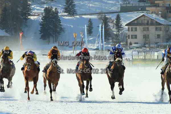 IMG 0601 prot