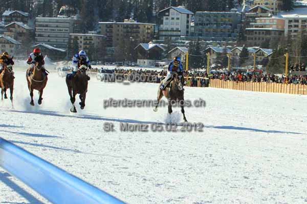 IMG 0607a prot
