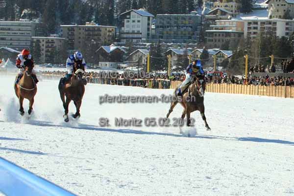 IMG 0610a prot