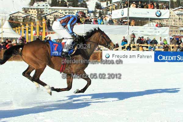 IMG 0624 prot