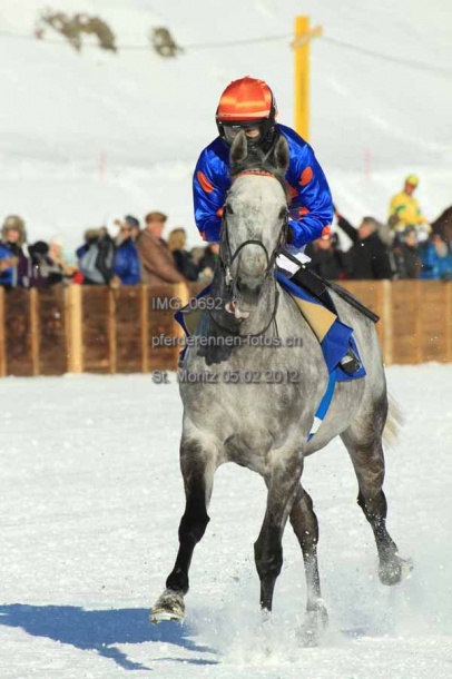 IMG 0692 prot