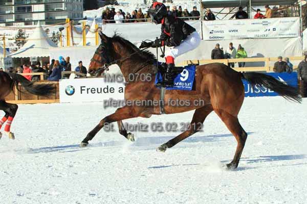 IMG 0706 prot
