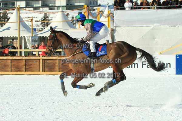 IMG 0707 prot