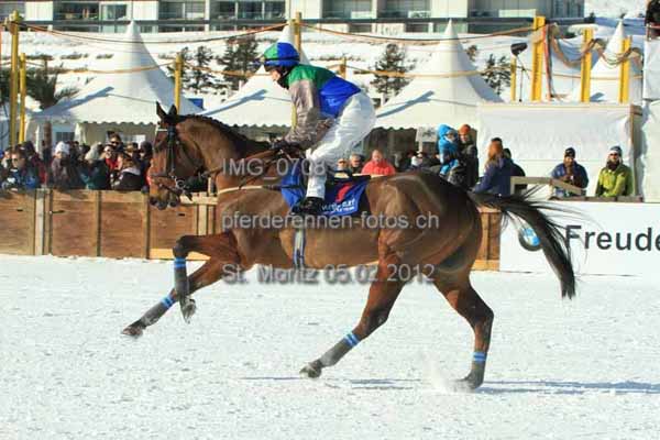 IMG 0708 prot