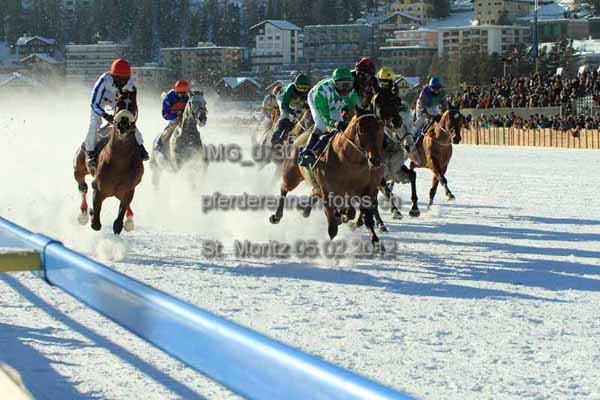 IMG 0730 prot