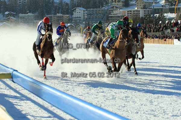 IMG 0731 prot