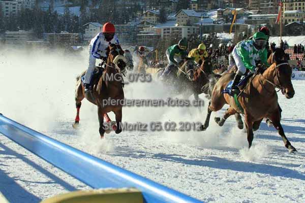 IMG 0733 prot