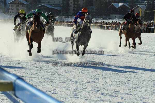 IMG 0750 prot