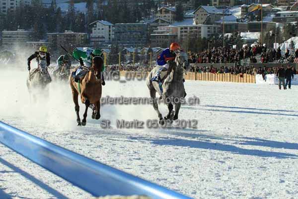 IMG 0757 prot