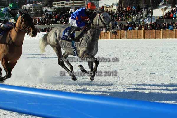 IMG 0763 prot