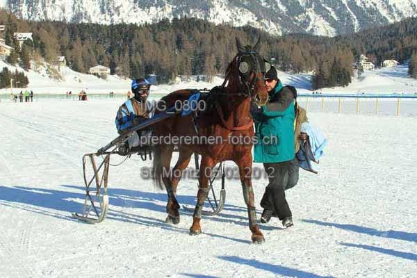 IMG 0800 prot