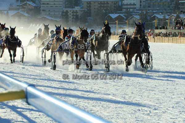 IMG 0812 prot
