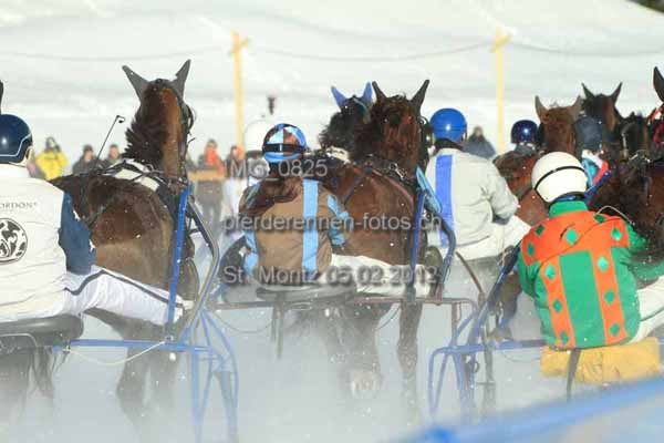 IMG 0825 prot