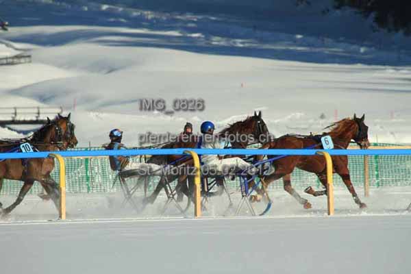 IMG 0826 prot
