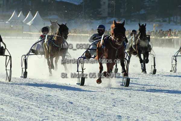 IMG 0830 prot
