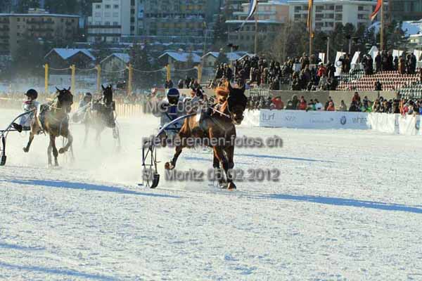 IMG 0834 prot