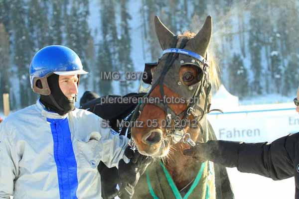 IMG 0873 prot
