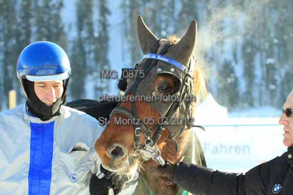 IMG 0875 prot