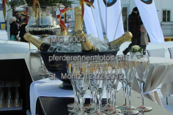 IMG 0004 prot