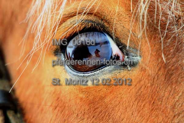 IMG 0018d prot