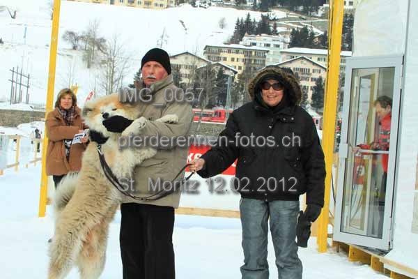 IMG 0057 prot