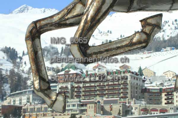 IMG 0065 prot