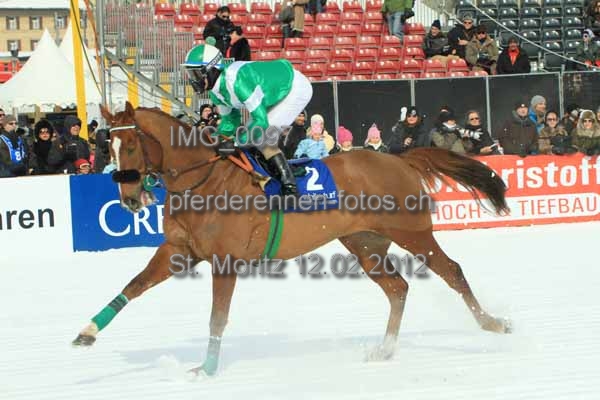 IMG 0097 prot