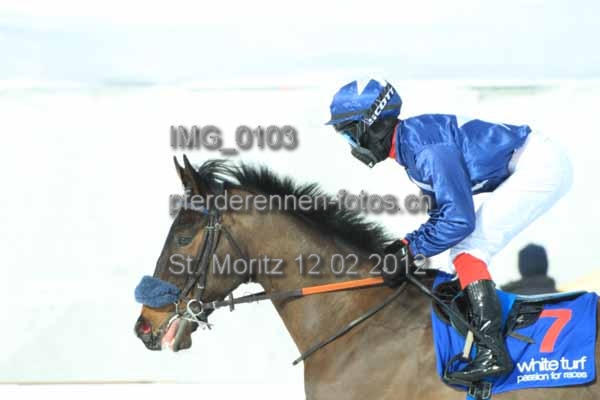 IMG 0103 prot
