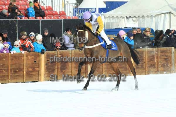IMG 0108 prot