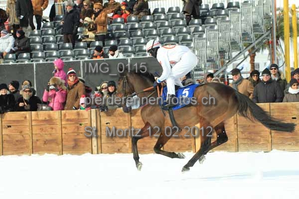 IMG 0115 prot