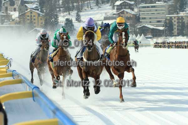 IMG 0124 prot
