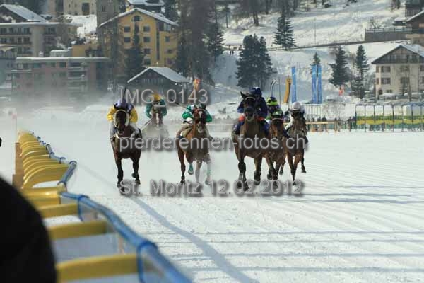 IMG 0143 prot