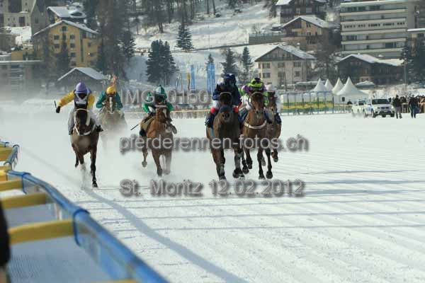 IMG 0150 prot