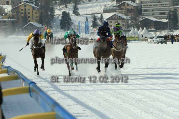 IMG 0152 prot