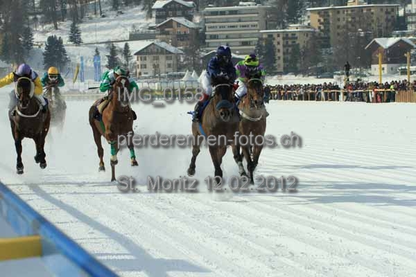 IMG 0158 prot