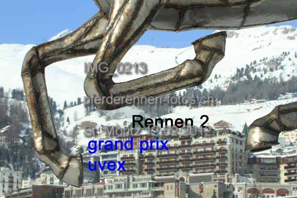 IMG 0213 prot