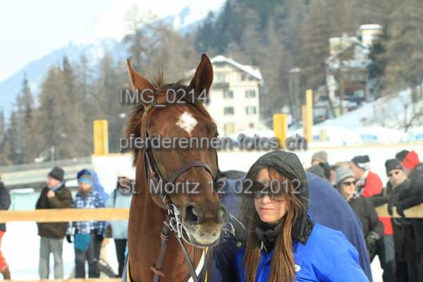 IMG 0214 prot