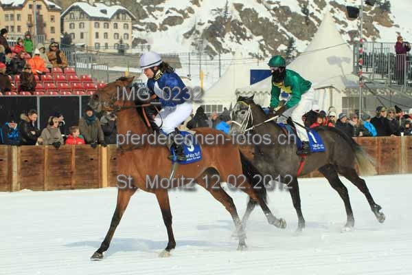 IMG 0232 prot