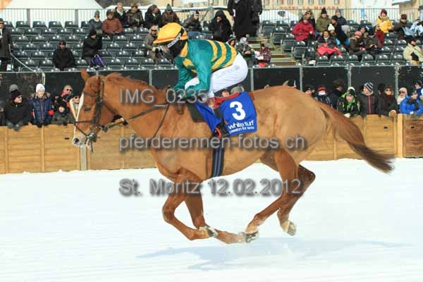 IMG 0235 prot