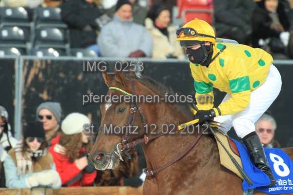 IMG 0253 prot