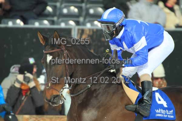 IMG 0255 prot