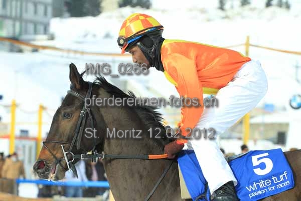 IMG 0266 prot