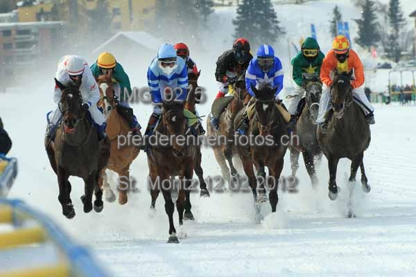 IMG 0275 prot