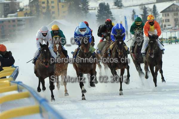 IMG 0276 prot